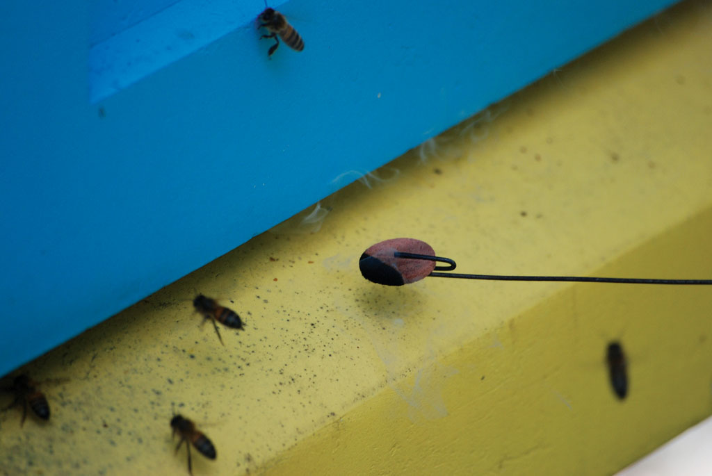 6. Leki stosowane w naszym kraju